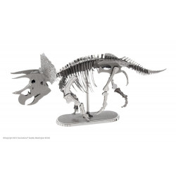 Maquette 3D en métal - Triceratops squelette 