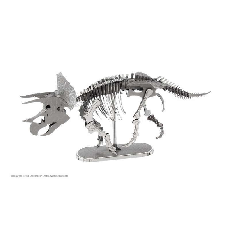 Maquette 3D en métal - Triceratops squelette 