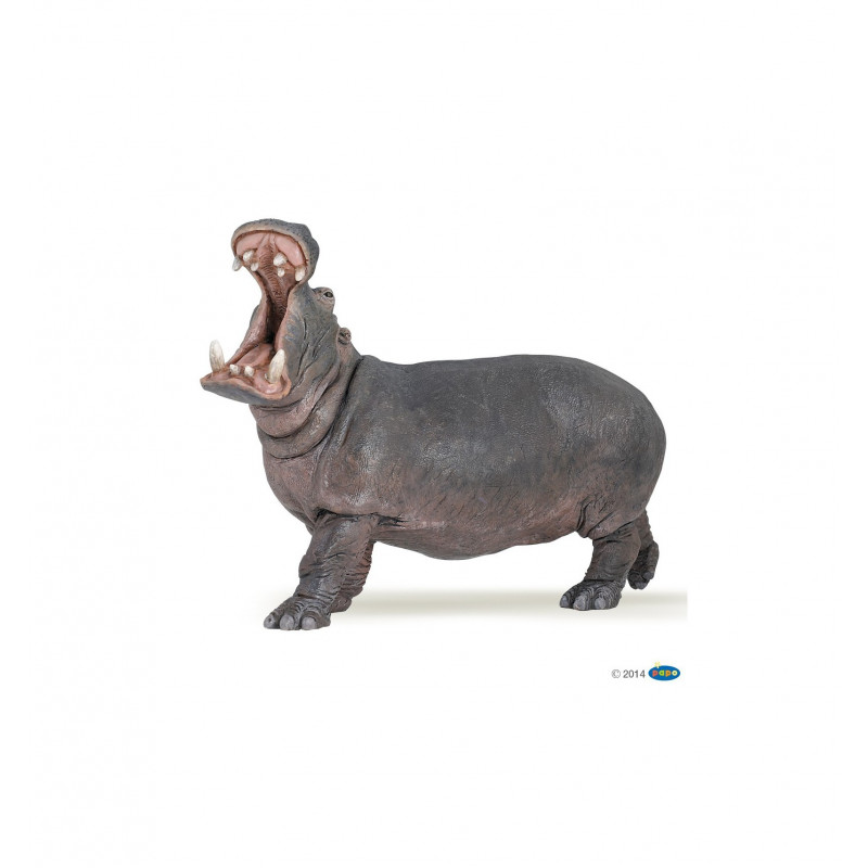 Hippopotame - Papo