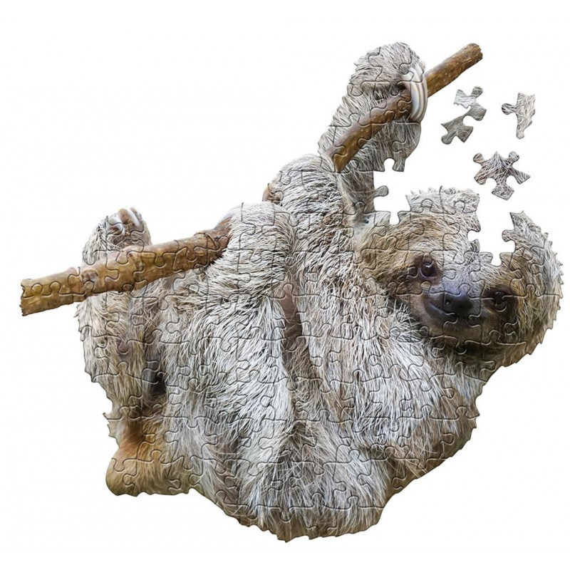 Puzzle l am - Ours paresseux