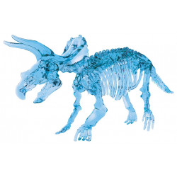 Dinosaure squelette lumineux