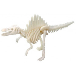 Mini squelette dinosaure