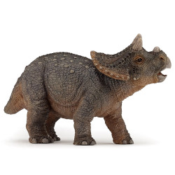 Jeune Triceratops